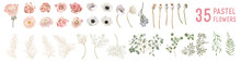 Vector Flowers And Leaves, Dried Anemone, Wedding Roses, Pampas Grass, Eucalyptus Greenery