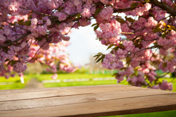 Wood table top on blur abstract green garden on morning background. For product display mounting or visual design