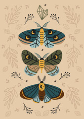 Wall Mural - magic forest poster with moth and butterfly