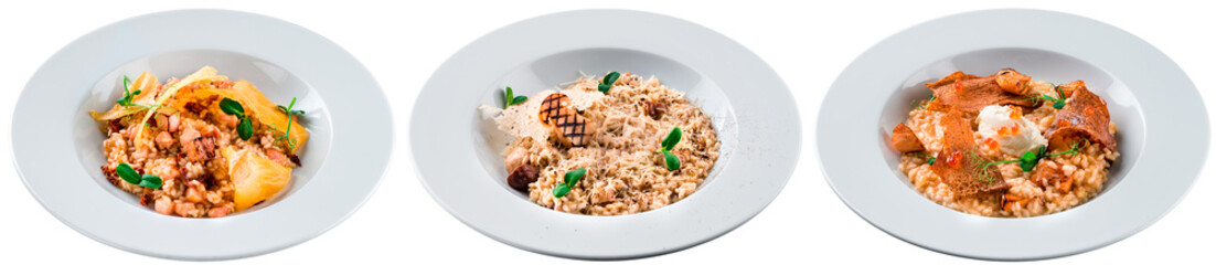 Sticker - risotto collection set with mushrooms, parmesan cheese, pork meat and salmon isolated