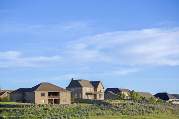 Poster - Shot of the neighborhood with green surrounding area and houses next to each other.