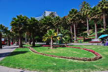 The Park In Vina Del Mar, Chile