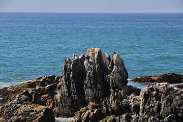 Canvas Print - Rocks on the coast of Vina del Mar, Chile