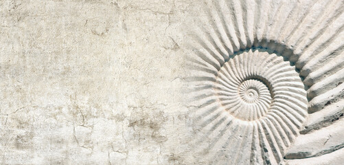 Wall Mural - Horizontal or vertical banner with stone wall texture and shell