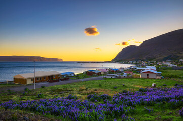 Wall Mural - Small fishing village of Patreksfjordur located in the Westfjords, Iceland