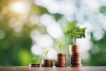 Piles of coins are placed on the wooden floor. The tree is growing on the coin. Financial growth concept, rising stock concept, investment concept. backdrop is a swaying tree bokeh.