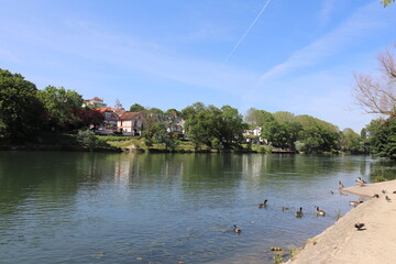 Wall Mural - La rivière Marne et ses rives à Champigny sur Marne, ville de Champigny sur Marne, département du Val de Marne, Ile de France, France