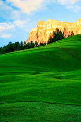 Wall Mural - golf course in the morning