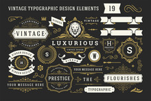Vintage Typographic Decorative Ornament Design Elements Set Vector Illustration