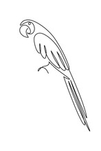 Parrot Bird In Continuous Line Art Drawing Style. Macaw Parrot Sitting Minimalist Black Linear Sketch Isolated On White Background. Vector Illustration