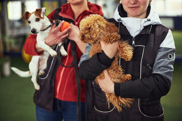 Two dog handlers posing for the camera with cute puppies