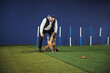© Svitlana - Professional dog handler training a Belgian Malinois