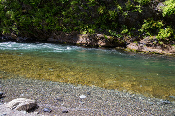 Canvas Print - Valley of early summer green trees and clear river in Japan.