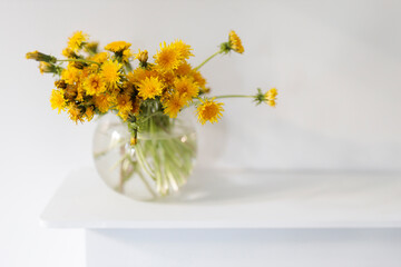 A bouquet of dandelions in a white fluted vase and two cups of different sizes with coffee on a white table.