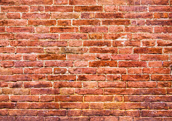  Orange red brick wall texture
