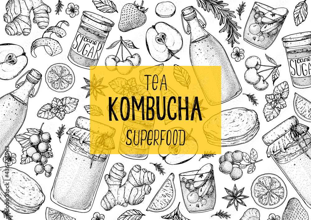 Kombucha tea and ingredients for kombucha sketch. Hand drawn vector illustration. Kombucha drink. Tea mushroom, tea fungus, or Manchurian mushroom. - obrazy, fototapety, plakaty 
