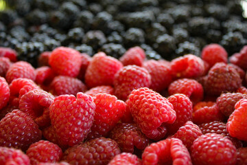 Wall Mural - Fresh blackberries and raspberries ripe berries. Blackberries versus raspberries. Blackberries in background. Raspberries close up, macro. Sweet fresh ripe berries mix.