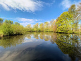 Fototapeta Natura - A view of Martin Mere Nature Reserve in the spring