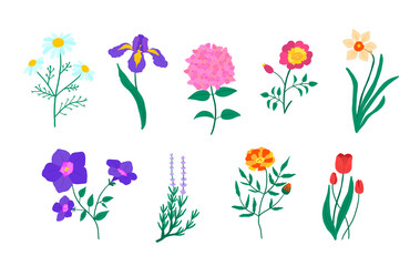 Sticker - Cartoon Color Botanical set of Garden Floral Plants. Vector