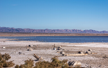 USA, CA, Salton Sea - December 28, 2012: Gray-brownish remnants of earlier constructions remain on Niland Beach close to blue water under light blue sky and mountains on horizon.