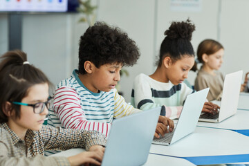 Wall Mural - Diverse group of young children using laptops while sitting in row at IT classroom