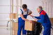 © Elnur - Two male professional movers doing home relocation