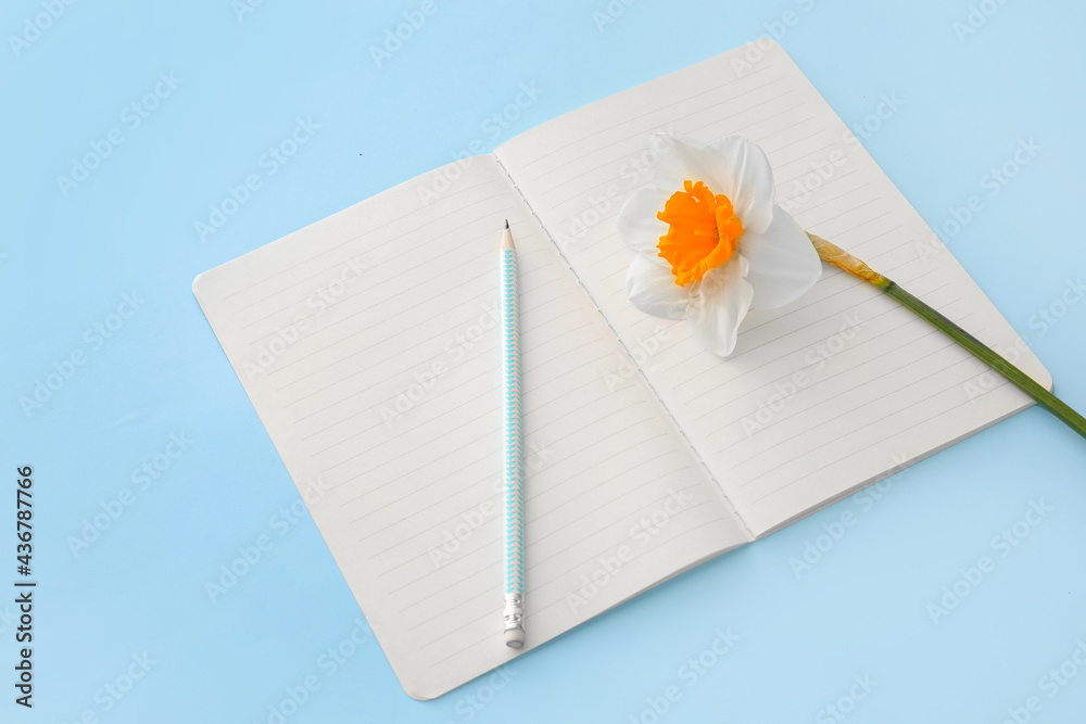Beautiful daffodils, pencil and notebook on color background