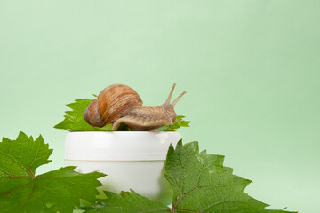 Wall Mural - grape snail mucin cream,skin care cosmetic.