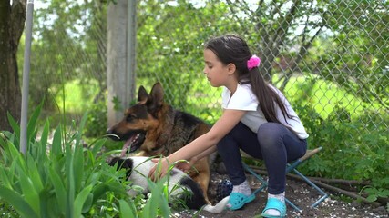 Wall Mural - Cheerful little girl with a dog German shepherd