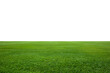 green grass field over white background