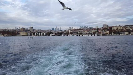 Wall Mural - Istanbul, Turkey - October 2018: Bosphorus passenger boat sailing, overlooking Besiktas district. Seagulls flying together with the board. Sailing from Europe to Asia