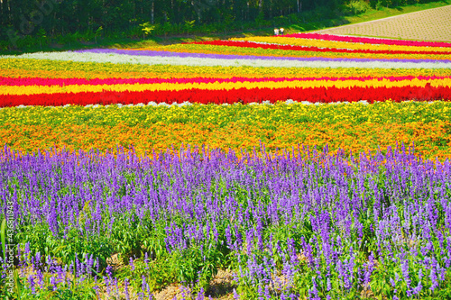 花畑 アドビストックのデザイン かべいろ Com おしゃれ壁紙リフォーム貼り替え インクジェット壁紙のかべいろ Com