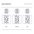 Hair porosity types classification line set. Strand with low, normal and high cuticle porosity. Anatomical structure scheme in linear style. Outline vector illustration.