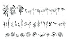 Wildflower Vector Set, Floral Collection, Botanical Elements