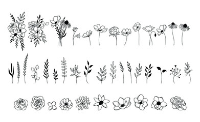 wildflower vector set, floral collection, botanical elements