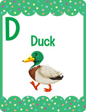 Alphabet Flashcard With Letter D For Duck