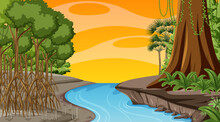 Nature Scene With Mangrove Forest At Sunset Time In Cartoon Style