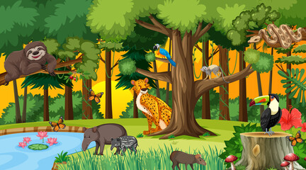 Poster - Forest at sunset time scene with different wild animals