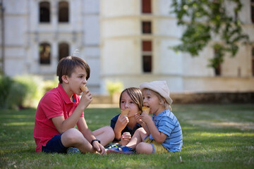 Poster - Cute children, boy brothers, eating ice cream in gardens of Azay Le Rideau castle on Loive Valley