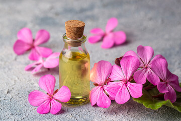 Fresh geranium flower with geranium essential oil, geranium oil