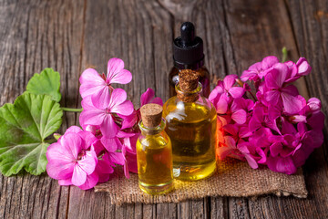 Fresh geranium flower with geranium essential oil, geranium oil