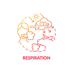 Wall Mural - Respiration concept icon. Natural CO2 abstract idea thin line illustration. Consuming oxygen and carbon dioxide releasing. Inhalation and exhalation phases. Vector isolated outline color drawing