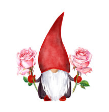 Adorable Gnome With Pink Rose Flowers. Watercolor