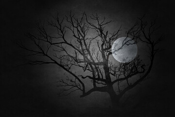 Wall Mural - spooky night image . mixed media