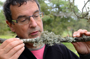 An adult man observes several lichens on a branch