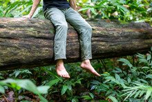 The Bare Feet Of An Asian Man Sit On A Large Fallen Tree In A Humid Forest With Moss On A Log. The Concept Of Being In Close Contact With Nature