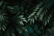 Closeup shot of dark green plant leaves - cool for natural background or wallpaper