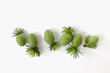 small young green fir cones on white isolated background