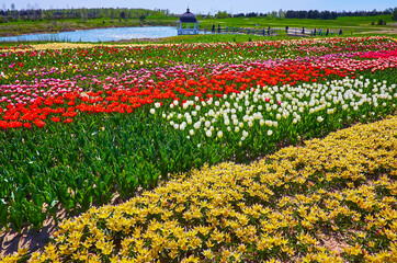 Sticker - The pond behind the tulip field