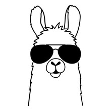 Cute Llama With Sunglasses.  Vector Illustration Isolated On White Background.
